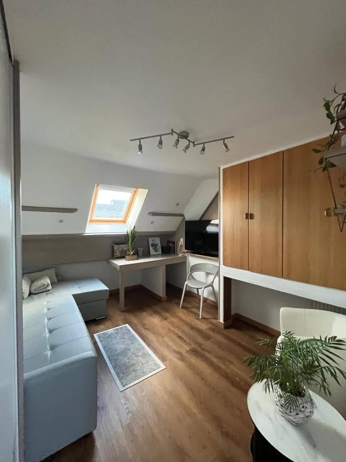 Appartement Type Loft Avec Terrasse شيربوغ أون كوتننتين المظهر الخارجي الصورة